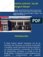 2017 438 PE Educacion PDF