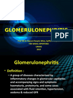 Glomerulonephritis: Prof DR DR Haerani Rasyid, Mkes, SPPD, KGH, SPGK Tim Ginjal Hipertensi Unhas 2019