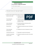 Student Worksheet Unit 12, Lesson 1: Endocrine System: Anatomy and Physiology