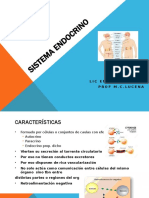 Sistema ENDOCRINO 2019