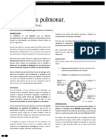 06 Quiste Hidatídico Pulmonar