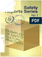 Examples of Safety Culture Practices