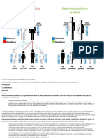 Entre Las Enfermedades Hereditarias Más Comunes Destacan