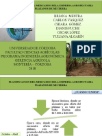 Planificacion Del Mercadeo Dela Empresa Agropecuaria