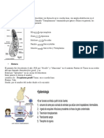 TOXOPLASMOSIS