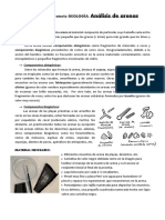 Análisis de Arenas: Práctica de Laboratorio GEOLOGÍA