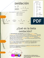 Beta Oxidación