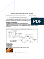 Avaliação Diagnostica