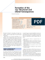 Malformation of The Kidney