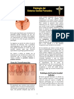 T2. Genital Femenino Cobar PDF