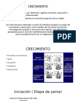 Ciclo Vital Del Diente