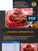 Patologia de Liquido Amniotico y Obito Fetal