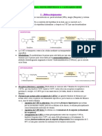 5-Hta, Purinas, Neuropéptidos y Cannabinoides