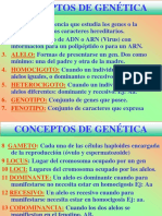 TEMA 5 y 6 DEFINITVO PDF