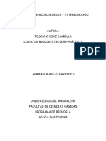 Informe Microscopio y Estereoscopio