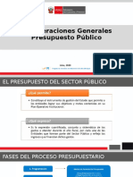 Consideraciones Presupuestales MEF