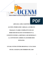 Cuadro Comparativo Derechos Humanos