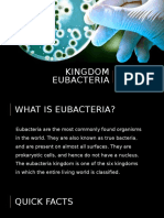 Kingdom Eubacteria