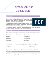 Infestación Por Garrapatas