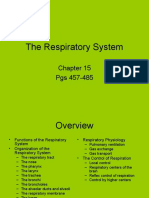 The Respiratory System