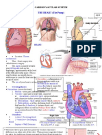 Medsurg Cardio Ana&Physio