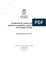 Proyecto Producción Carbón Activado IngenieríadeProcesos