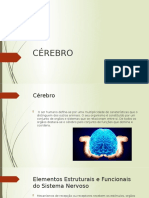 CÉREBRO