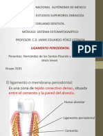 4.2.6 Ligamento Periodontal 2 PDF