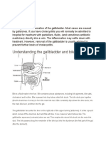 Understanding The Gallbladder and Bile