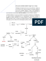 Marcha Analítica Grupo V de Cationes