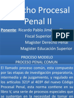 Derecho Procesal Penal I I - Uap