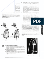 Mecánica Respiratoria Hematosis