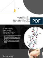 (DIP) Proteinas Estructurales PDF