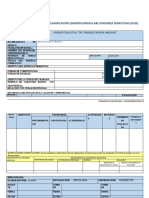 Formato Por Competencias Pca-Pud