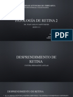 Patología de Retina 2