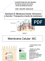 Membrana Celular Estructura Funcion y