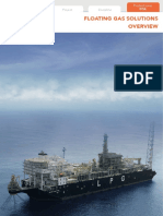 Floating Gas Solutions: Project Discipline