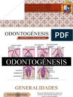 ODONTOGÉNESIS