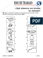 5 Años Ciencia y Ambiente Iii