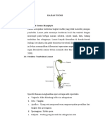 Tinjauan Pustaka Lumut, Paku, Tumbuhan Biji