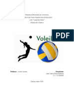 Voleibol