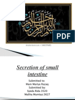 Secretion of Small Intestine