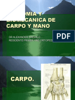 Biomecanica Mano