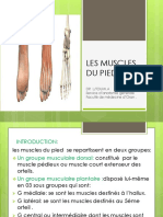 Fichier Produit 2318