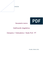 Documento Marco Codificación Diagnóstica Conceptos / Indicadores / Guiás Prof. PT