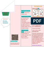 Rocks: The Rock Cycle