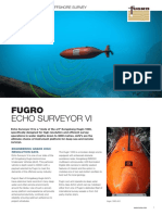 Echo Surveyor VI Flyer PDF