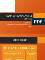 Etiología Autismo