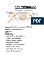 Miotático Sist Alfa y Gamma PDF