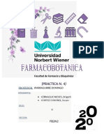 Practica 4 - Farmacobotanica